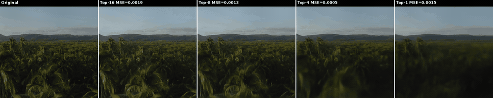 Other slow zoom